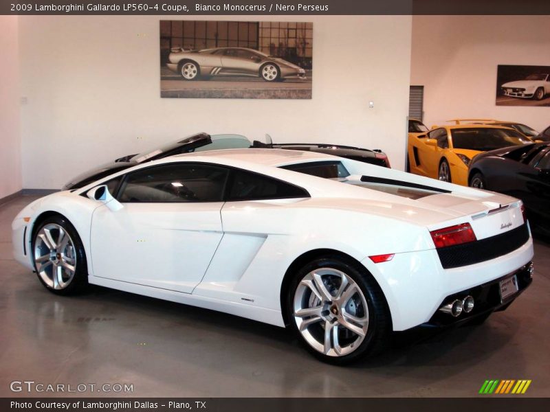 Bianco Monocerus / Nero Perseus 2009 Lamborghini Gallardo LP560-4 Coupe