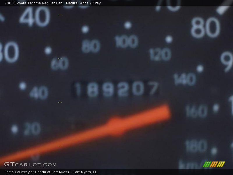 Natural White / Gray 2000 Toyota Tacoma Regular Cab
