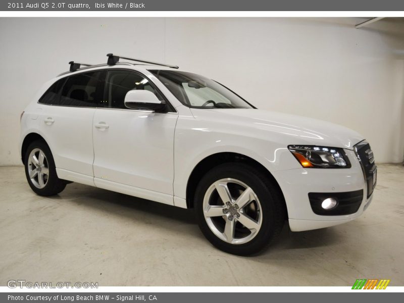 Ibis White / Black 2011 Audi Q5 2.0T quattro