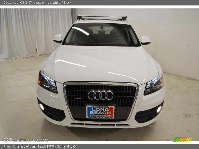 Ibis White / Black 2011 Audi Q5 2.0T quattro