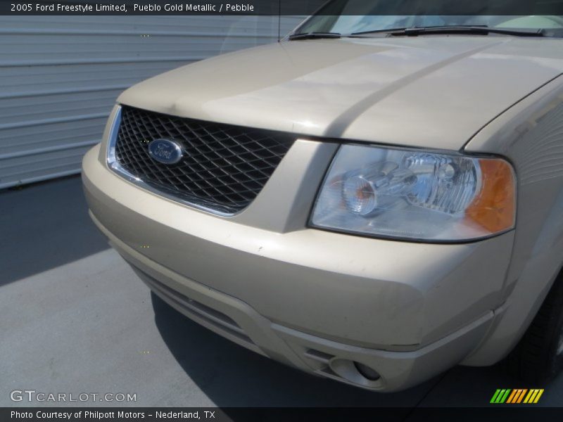 Pueblo Gold Metallic / Pebble 2005 Ford Freestyle Limited
