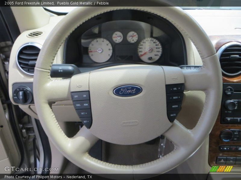  2005 Freestyle Limited Steering Wheel