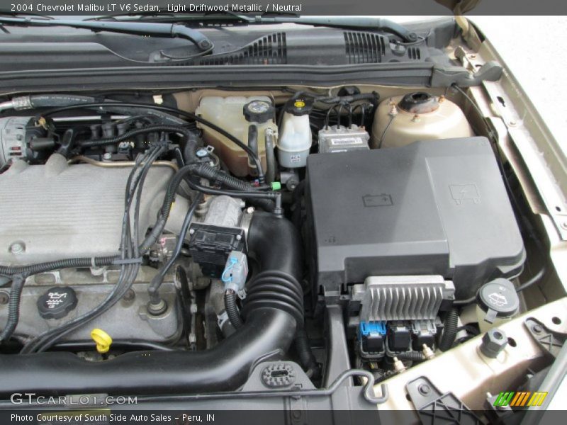 Light Driftwood Metallic / Neutral 2004 Chevrolet Malibu LT V6 Sedan