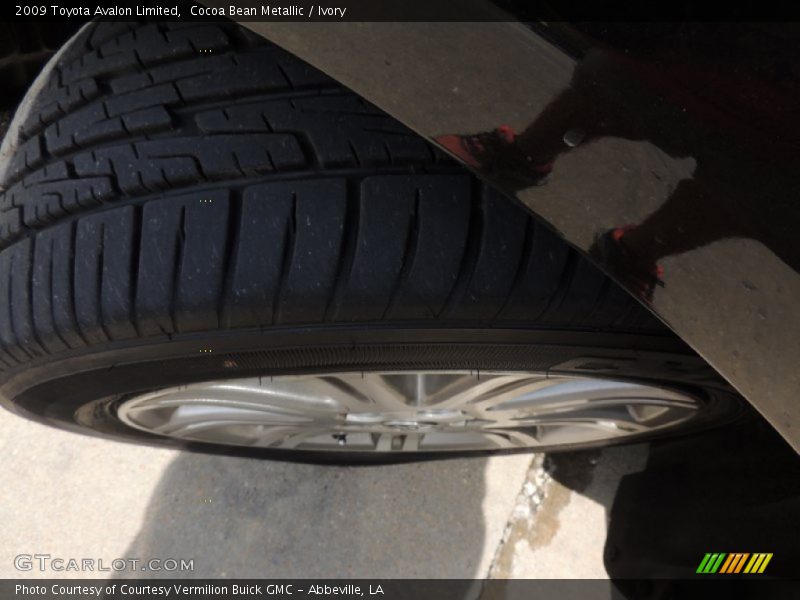 Cocoa Bean Metallic / Ivory 2009 Toyota Avalon Limited