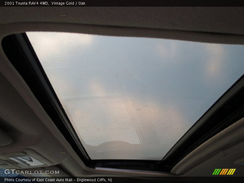 Vintage Gold / Oak 2001 Toyota RAV4 4WD