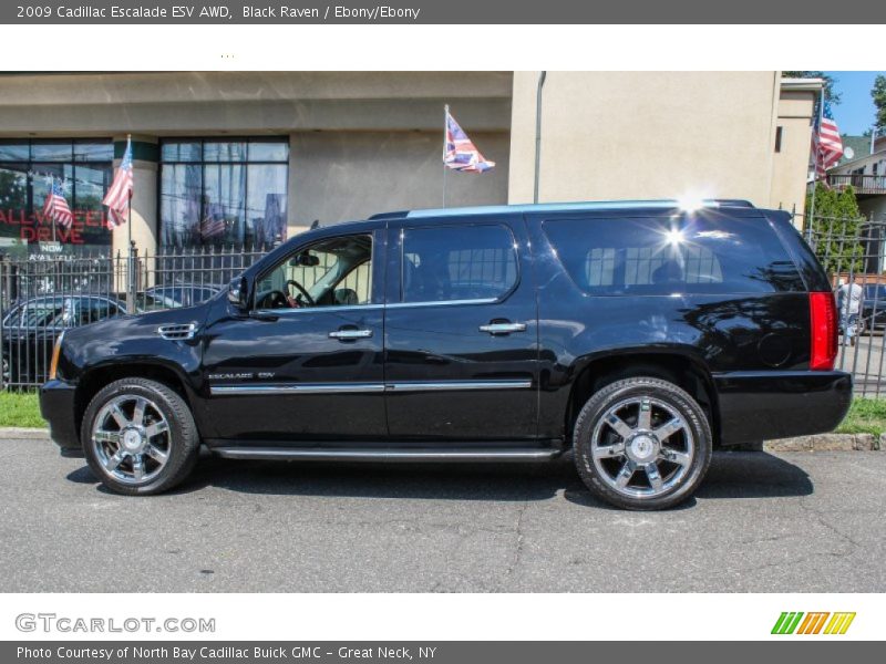 Black Raven / Ebony/Ebony 2009 Cadillac Escalade ESV AWD