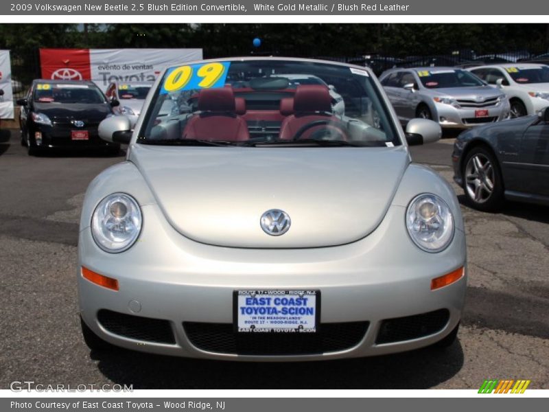 White Gold Metallic / Blush Red Leather 2009 Volkswagen New Beetle 2.5 Blush Edition Convertible