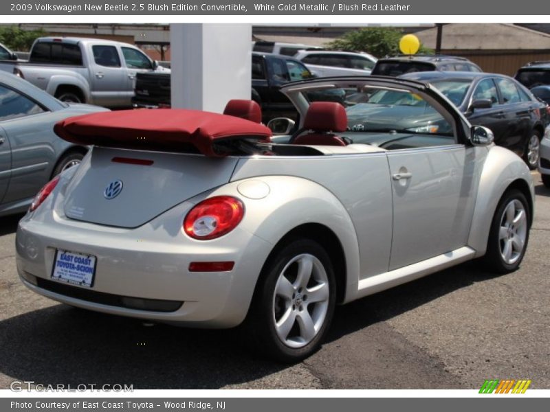 White Gold Metallic / Blush Red Leather 2009 Volkswagen New Beetle 2.5 Blush Edition Convertible