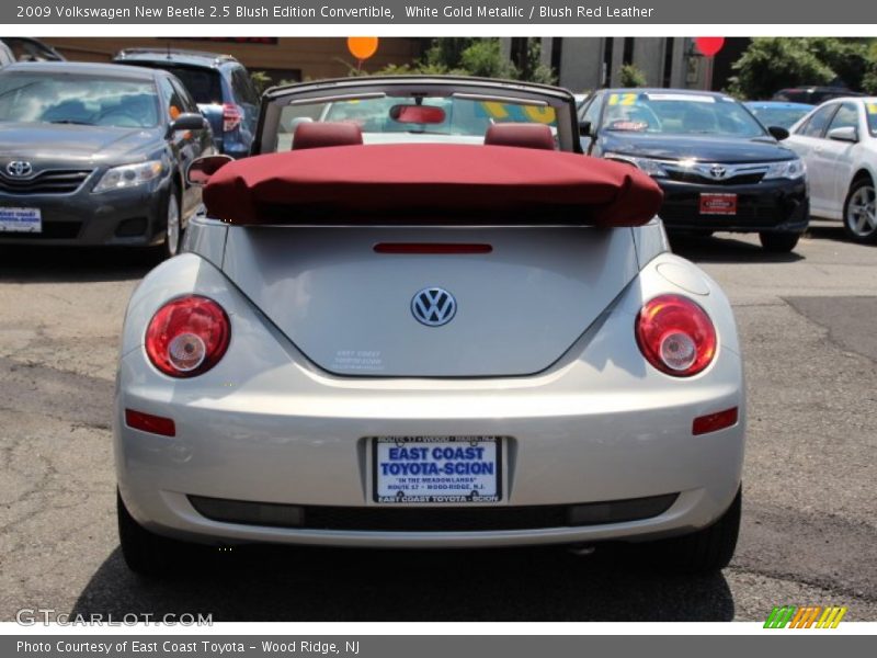 White Gold Metallic / Blush Red Leather 2009 Volkswagen New Beetle 2.5 Blush Edition Convertible