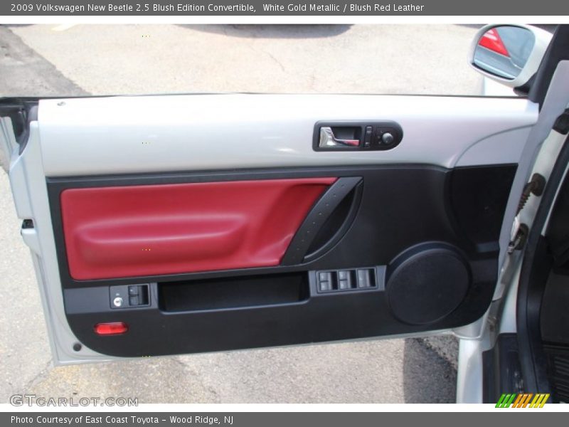 Door Panel of 2009 New Beetle 2.5 Blush Edition Convertible