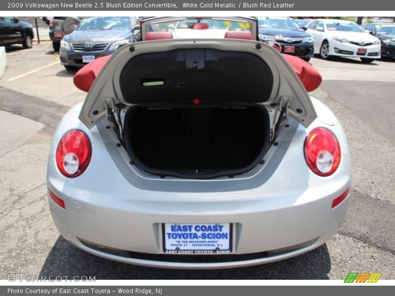 White Gold Metallic / Blush Red Leather 2009 Volkswagen New Beetle 2.5 Blush Edition Convertible