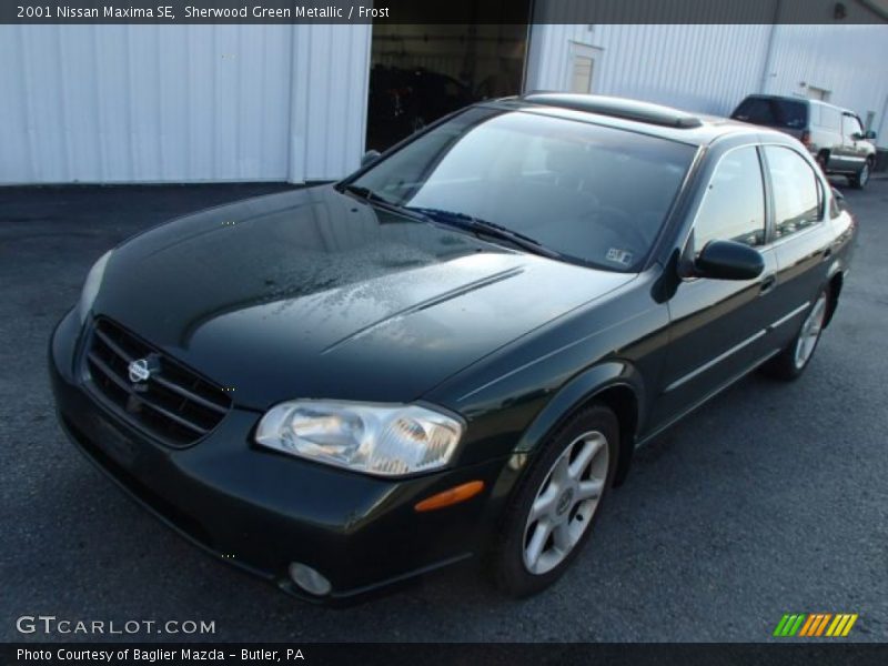 Sherwood Green Metallic / Frost 2001 Nissan Maxima SE