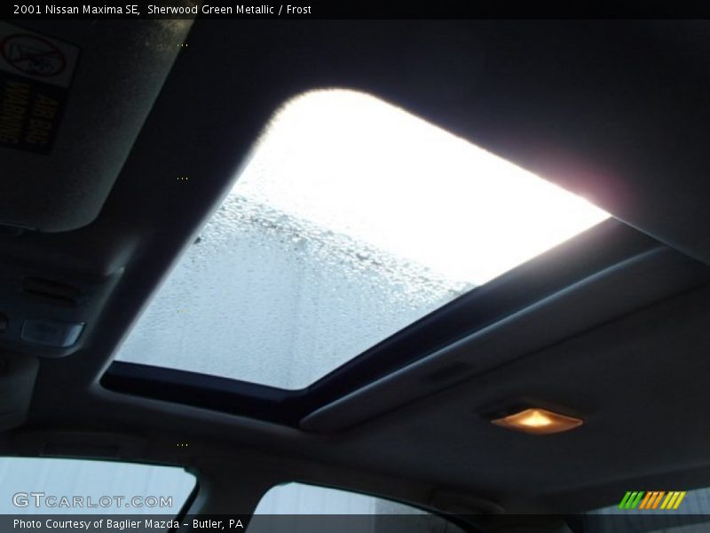 Sherwood Green Metallic / Frost 2001 Nissan Maxima SE