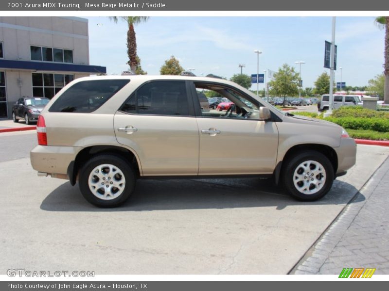 Mesa Beige Metallic / Saddle 2001 Acura MDX Touring
