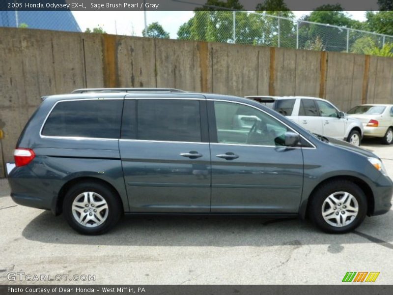 Sage Brush Pearl / Gray 2005 Honda Odyssey EX-L