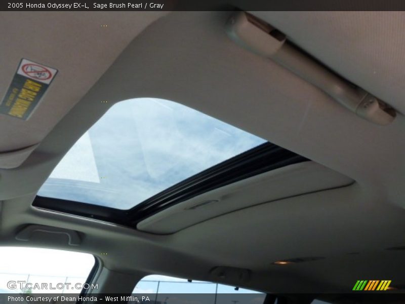 Sage Brush Pearl / Gray 2005 Honda Odyssey EX-L