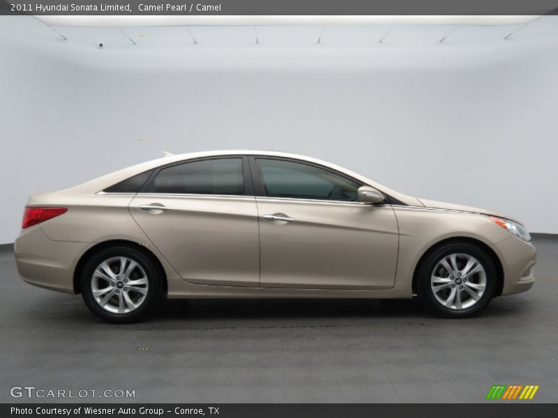 Camel Pearl / Camel 2011 Hyundai Sonata Limited