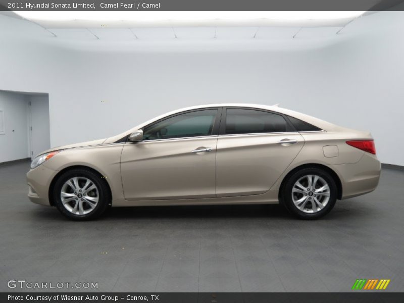 Camel Pearl / Camel 2011 Hyundai Sonata Limited
