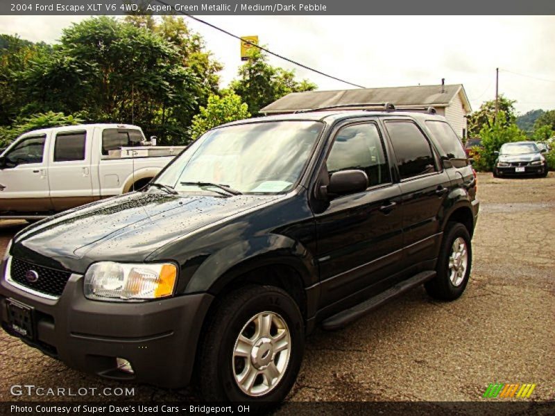 Aspen Green Metallic / Medium/Dark Pebble 2004 Ford Escape XLT V6 4WD