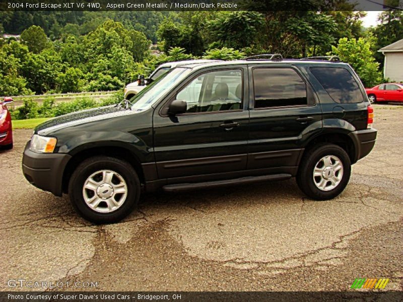 Aspen Green Metallic / Medium/Dark Pebble 2004 Ford Escape XLT V6 4WD