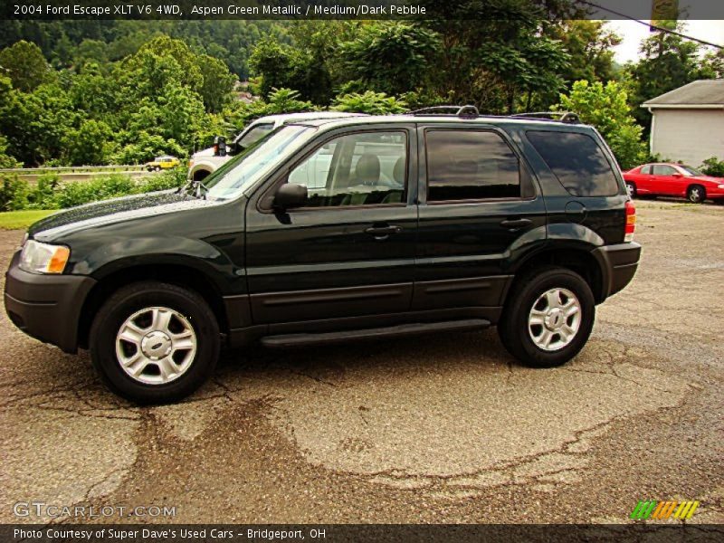 Aspen Green Metallic / Medium/Dark Pebble 2004 Ford Escape XLT V6 4WD