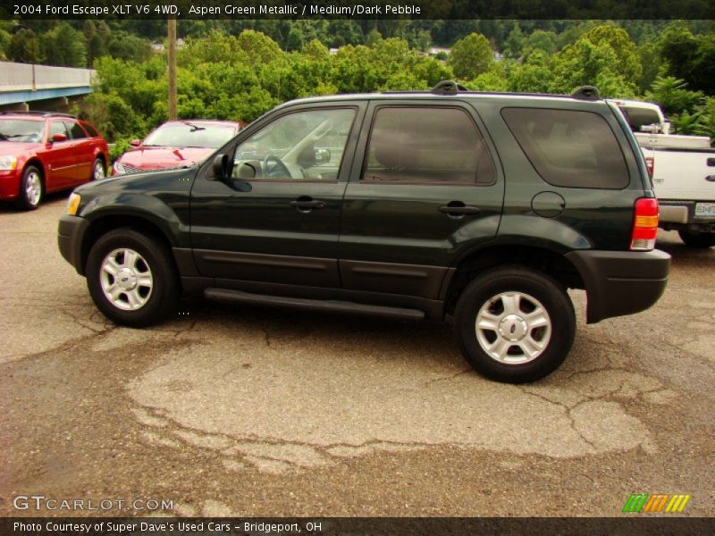 Aspen Green Metallic / Medium/Dark Pebble 2004 Ford Escape XLT V6 4WD