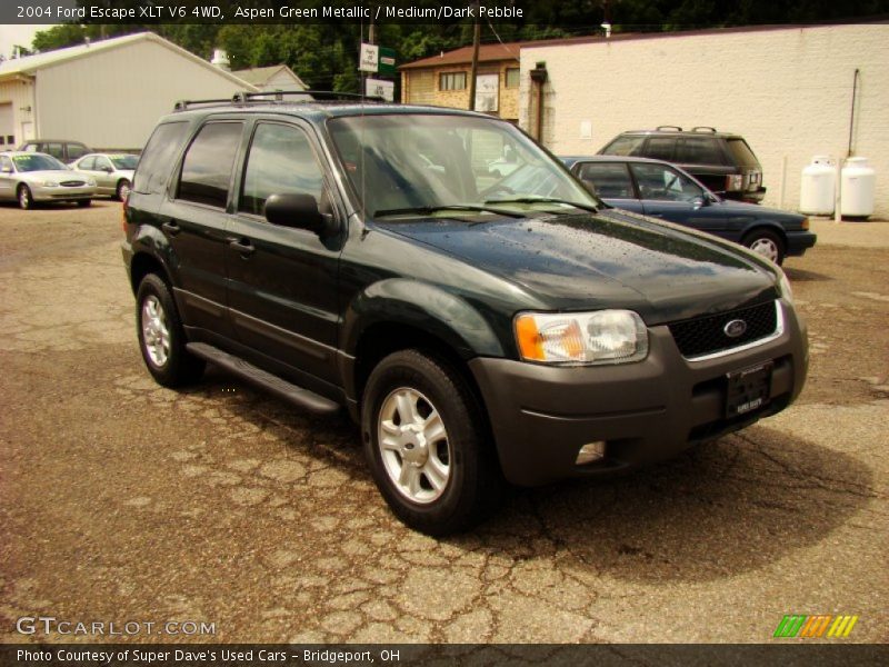 Aspen Green Metallic / Medium/Dark Pebble 2004 Ford Escape XLT V6 4WD