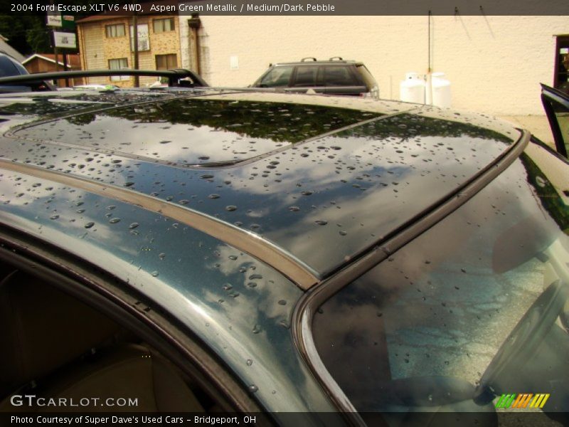 Aspen Green Metallic / Medium/Dark Pebble 2004 Ford Escape XLT V6 4WD