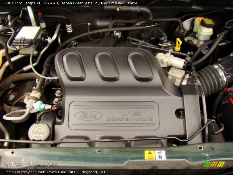 Aspen Green Metallic / Medium/Dark Pebble 2004 Ford Escape XLT V6 4WD