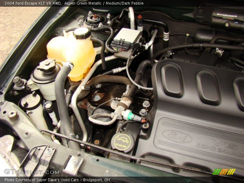 Aspen Green Metallic / Medium/Dark Pebble 2004 Ford Escape XLT V6 4WD
