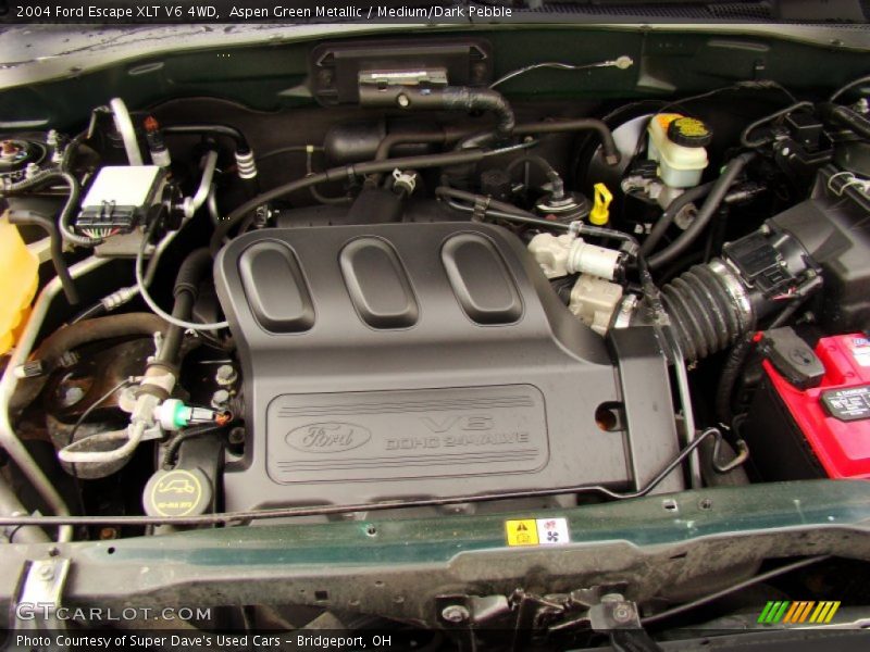 Aspen Green Metallic / Medium/Dark Pebble 2004 Ford Escape XLT V6 4WD