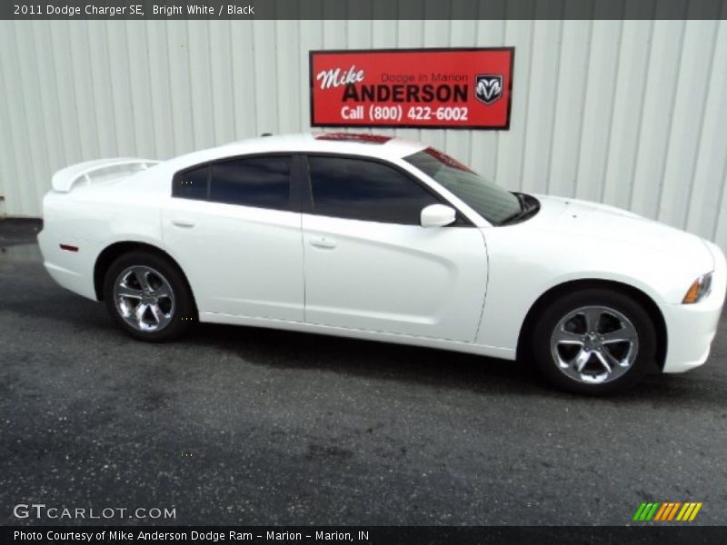 Bright White / Black 2011 Dodge Charger SE