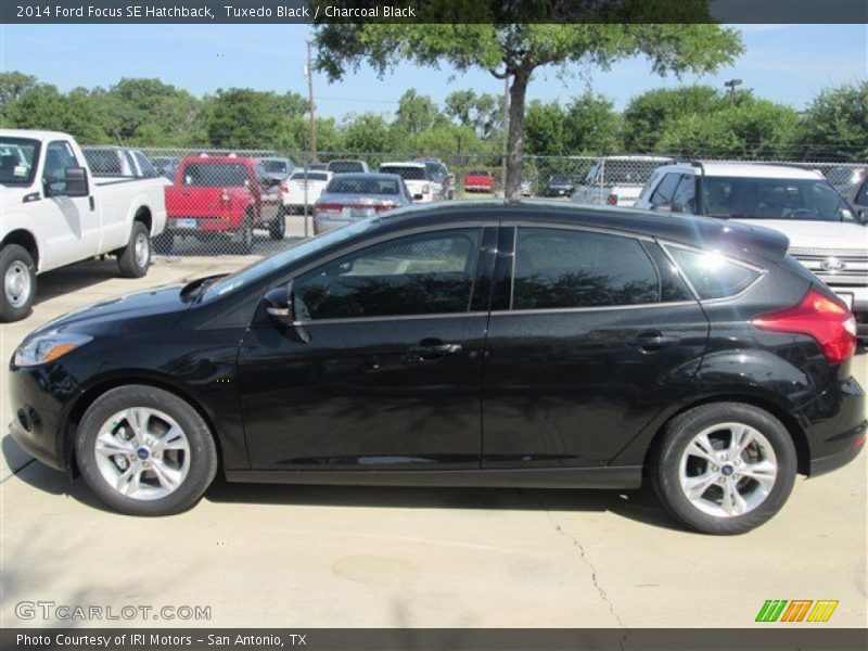  2014 Focus SE Hatchback Tuxedo Black