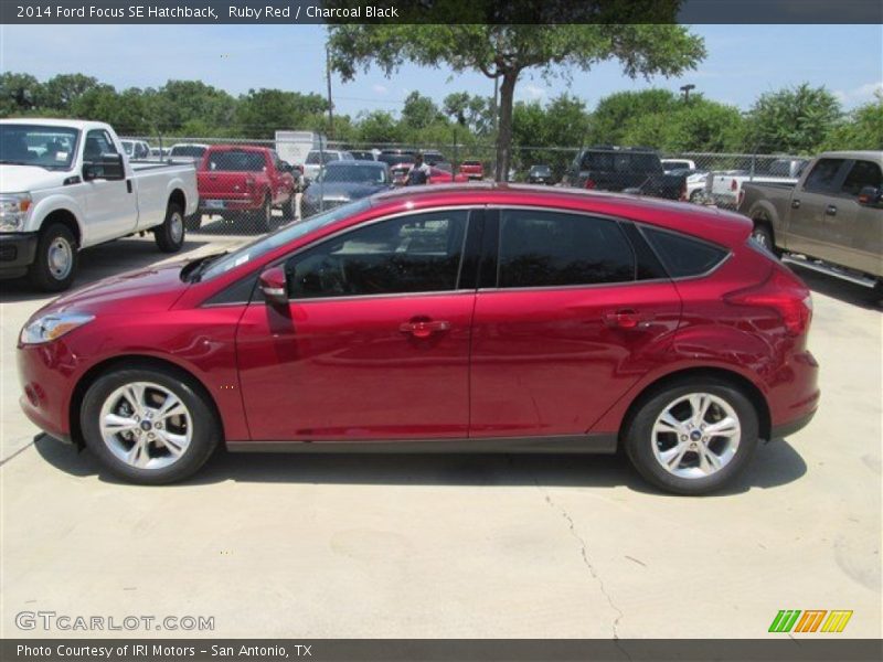  2014 Focus SE Hatchback Ruby Red