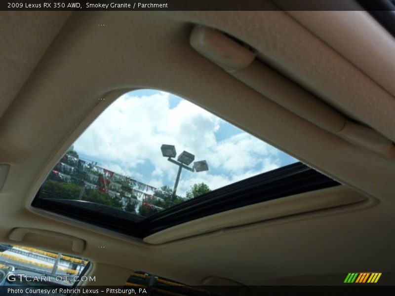 Smokey Granite / Parchment 2009 Lexus RX 350 AWD