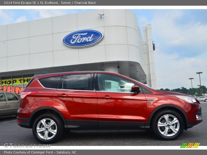 Sunset / Charcoal Black 2014 Ford Escape SE 1.6L EcoBoost