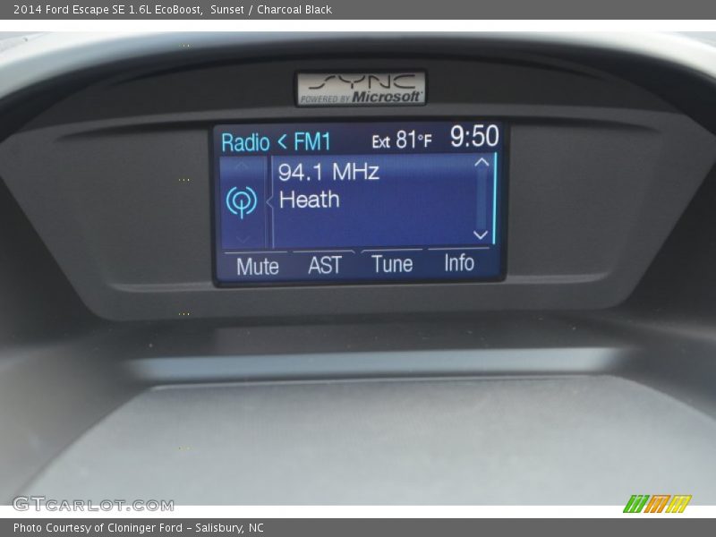 Sunset / Charcoal Black 2014 Ford Escape SE 1.6L EcoBoost