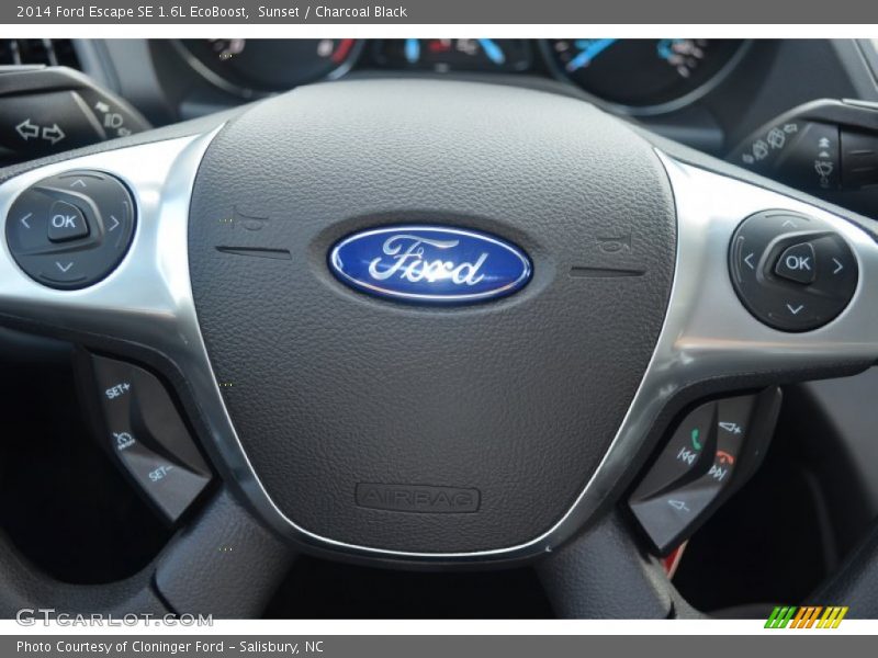 Sunset / Charcoal Black 2014 Ford Escape SE 1.6L EcoBoost