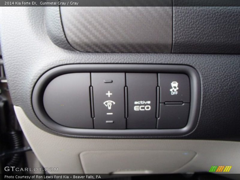 Gunmetal Gray / Gray 2014 Kia Forte EX
