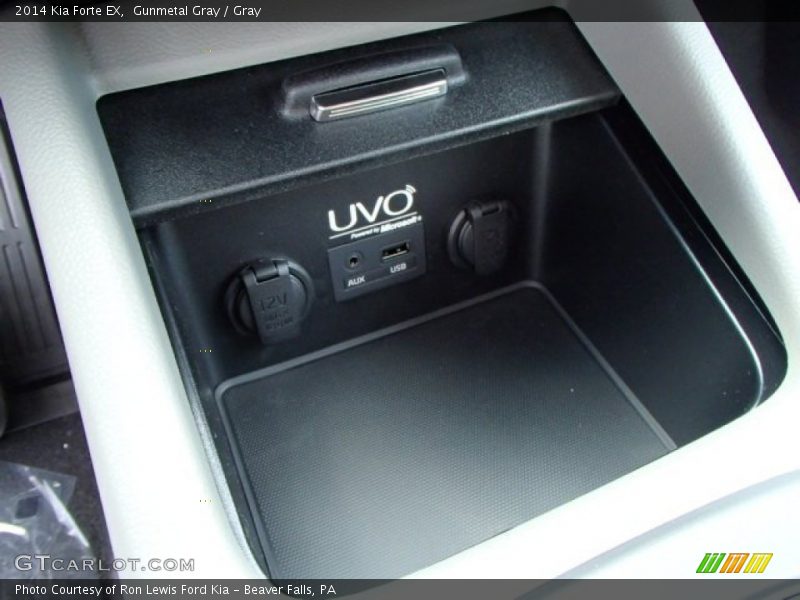 Gunmetal Gray / Gray 2014 Kia Forte EX