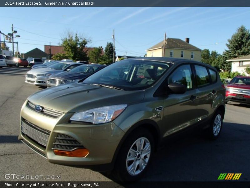Ginger Ale / Charcoal Black 2014 Ford Escape S