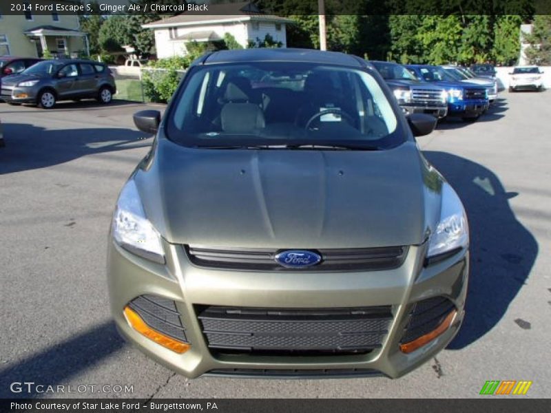 Ginger Ale / Charcoal Black 2014 Ford Escape S