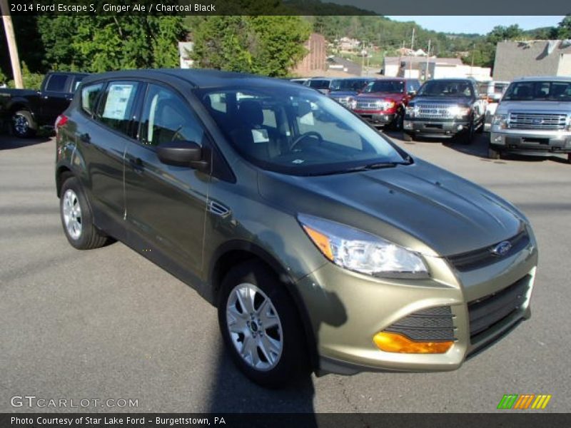 Ginger Ale / Charcoal Black 2014 Ford Escape S