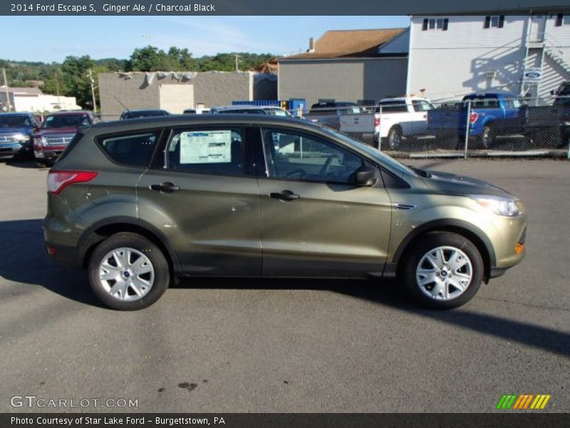 Ginger Ale / Charcoal Black 2014 Ford Escape S