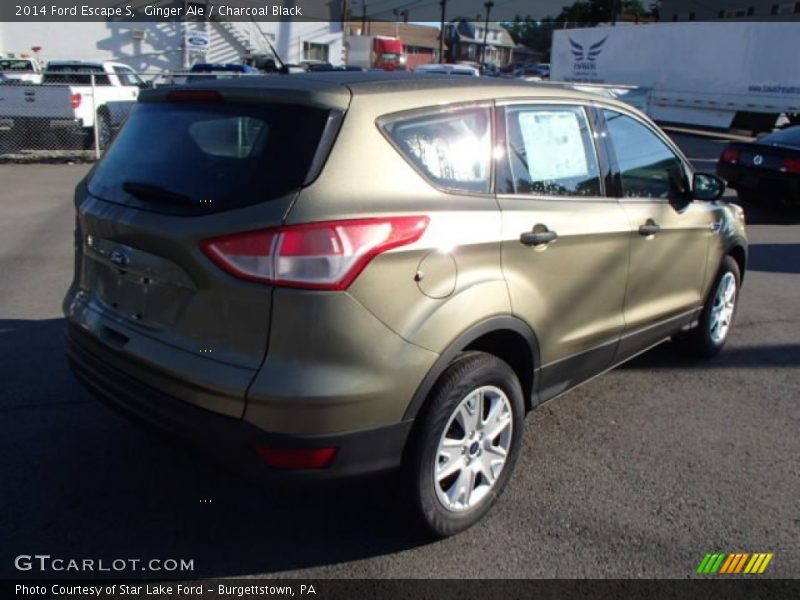 Ginger Ale / Charcoal Black 2014 Ford Escape S