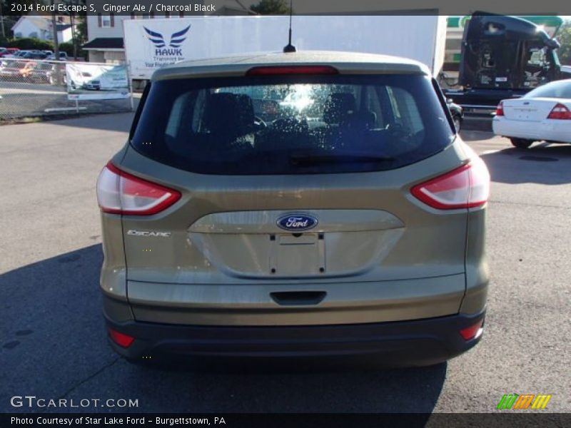Ginger Ale / Charcoal Black 2014 Ford Escape S