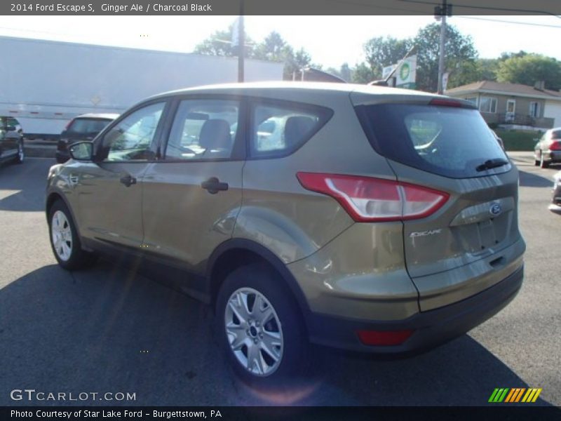 Ginger Ale / Charcoal Black 2014 Ford Escape S