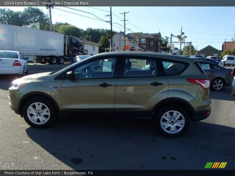 Ginger Ale / Charcoal Black 2014 Ford Escape S