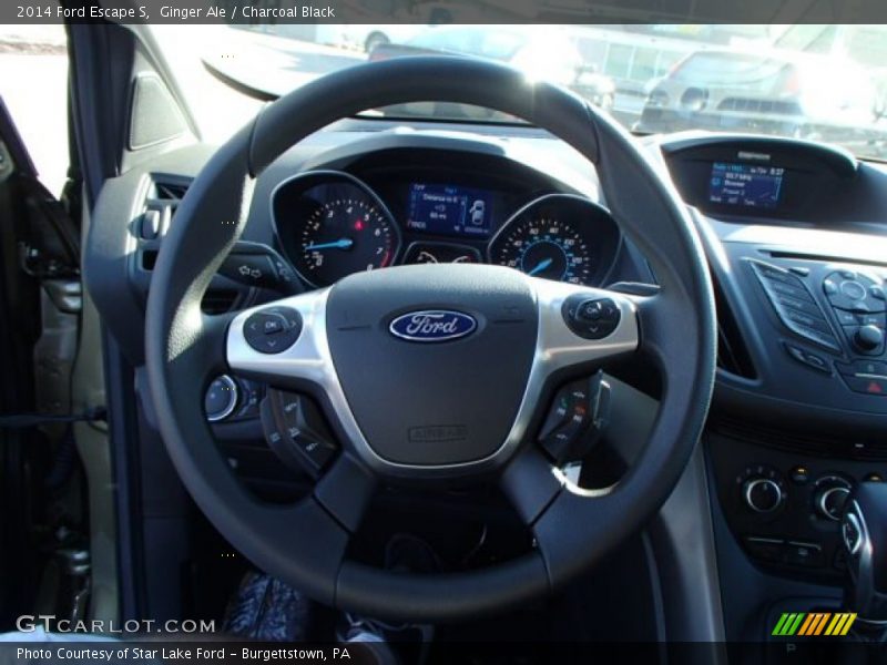 Ginger Ale / Charcoal Black 2014 Ford Escape S