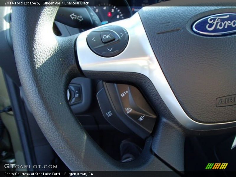 Ginger Ale / Charcoal Black 2014 Ford Escape S